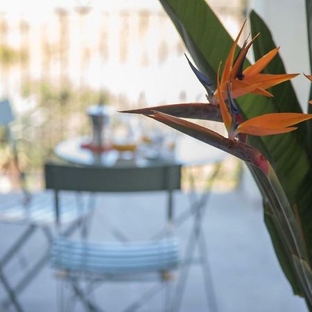 La Strelitzia Cervo Mare Apartment Luaran gambar